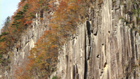 材木岩のサムネイル