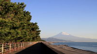 三保の松原と富士山のサムネイル