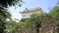 亀山城のサムネイル