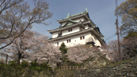 和歌山城のサムネイル