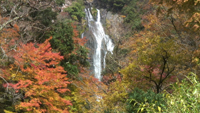 神庭の滝のサムネイル