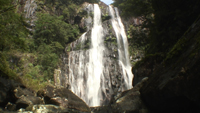 矢研の滝のサムネイル
